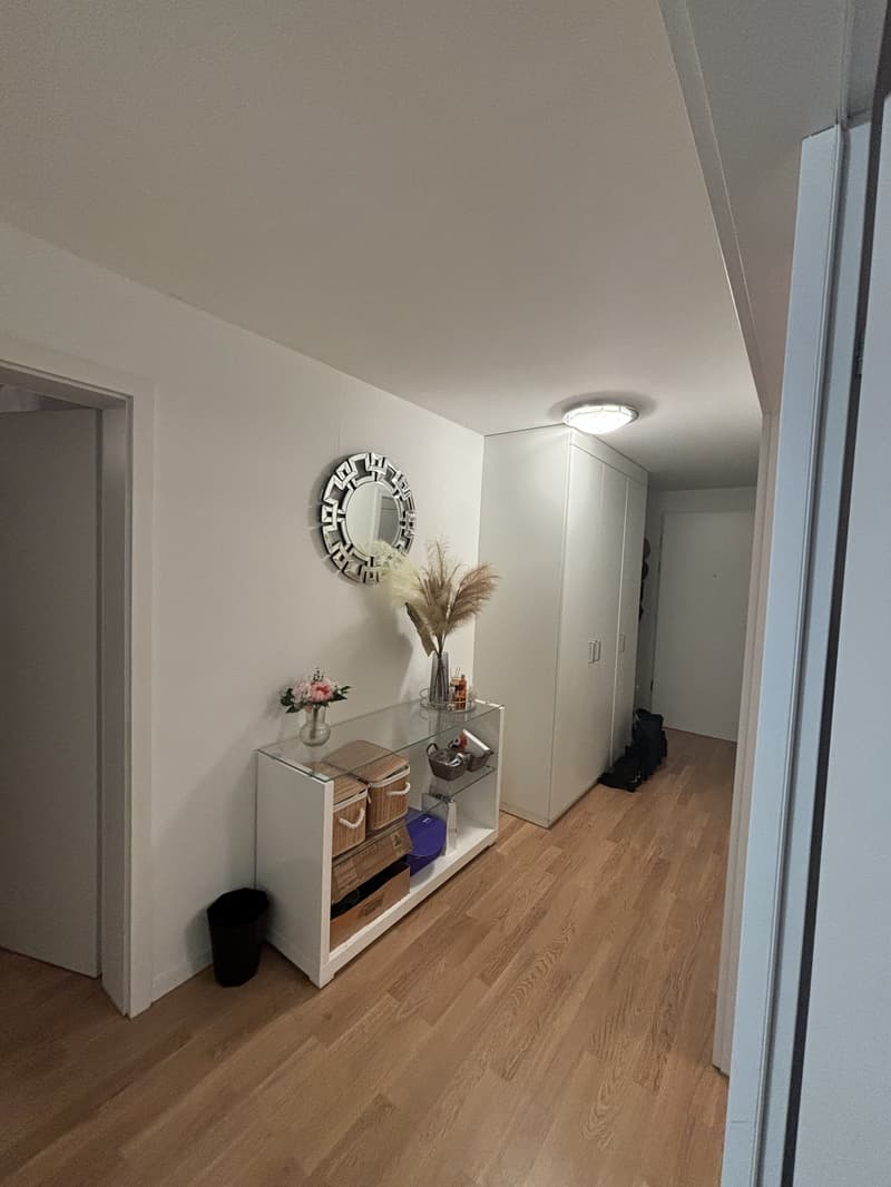 3 ZI-WOHNUNG IN ZÜRICH - KREIS 11 SEEBACH, MÖBLIERT, TEMPORÄR (6)