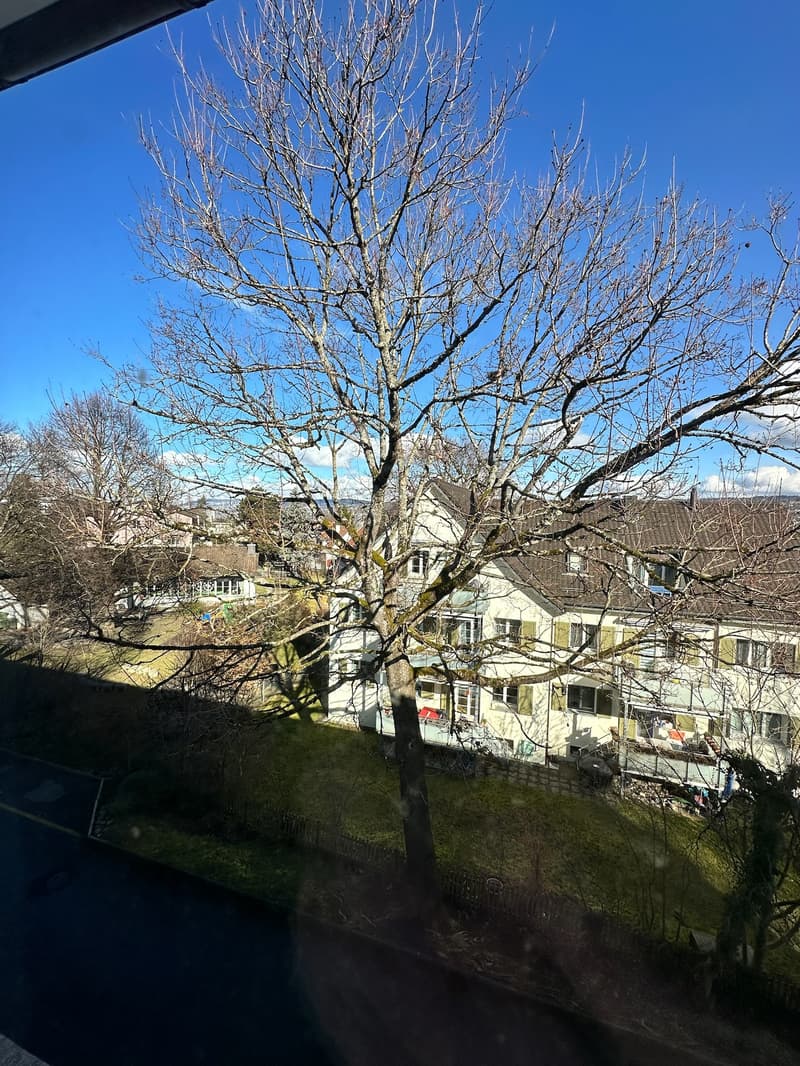 4½ ZI-WOHNUNG IN THALWIL (ZH), MÖBLIERT, TEMPORÄR (7)