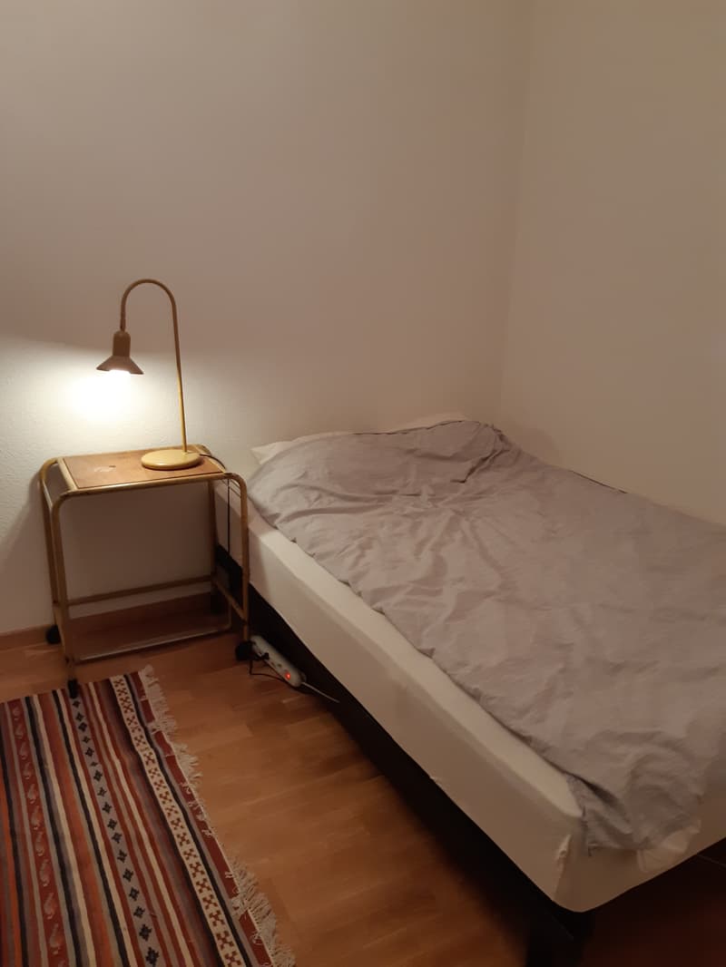 2½ ZI-WOHNUNG IN ZÜRICH - KREIS 3 WIEDIKON, MÖBLIERT, TEMPORÄR (4)