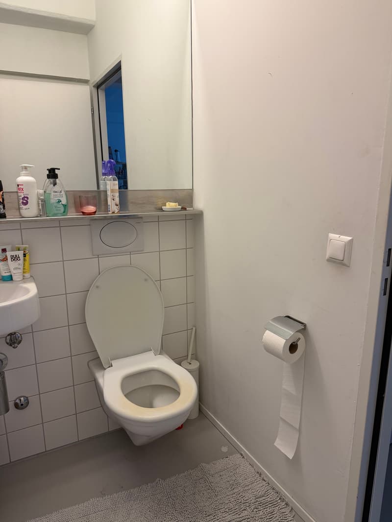 LOFT MIT 138 M²! IN ZURICH (ZH), MÖBLIERT, TEMPORÄR (7)