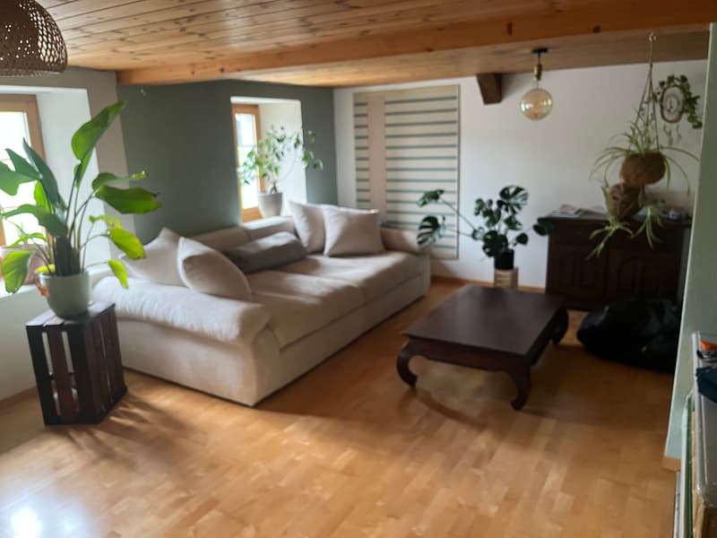 2½ ZI-WOHNUNG IN SPIEZ (BE), MÖBLIERT, TEMPORÄR (4)