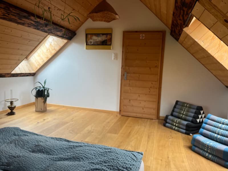 2½ ZI-WOHNUNG IN SPIEZ (BE), MÖBLIERT, TEMPORÄR (6)