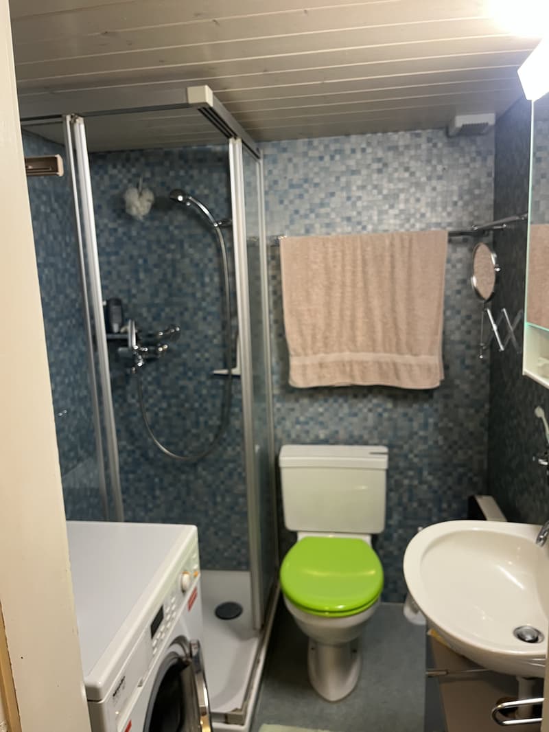2½ ZI-WOHNUNG IN SPIEZ (BE), MÖBLIERT, TEMPORÄR (9)