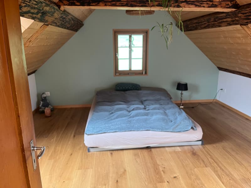 2½ ZI-WOHNUNG IN SPIEZ (BE), MÖBLIERT, TEMPORÄR (7)