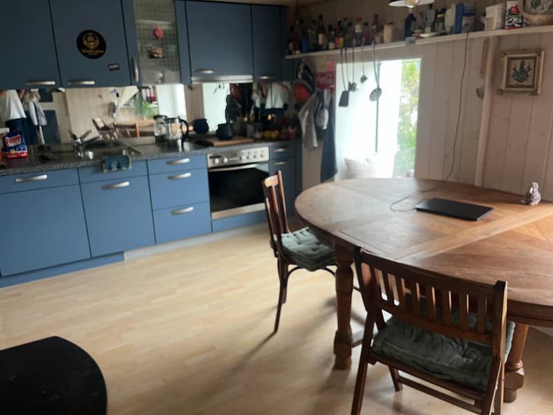 2½ ZI-WOHNUNG IN SPIEZ (BE), MÖBLIERT, TEMPORÄR (1)