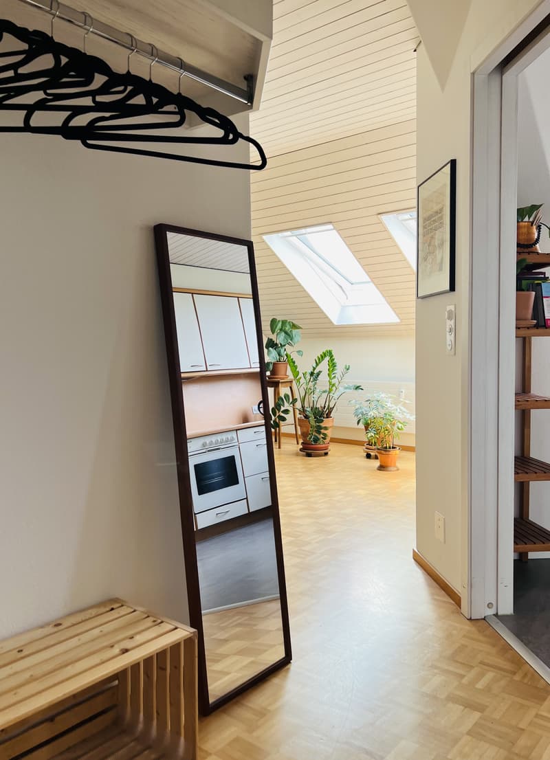 2 ZI-WOHNUNG IN BASEL, MÖBLIERT, TEMPORÄR (6)