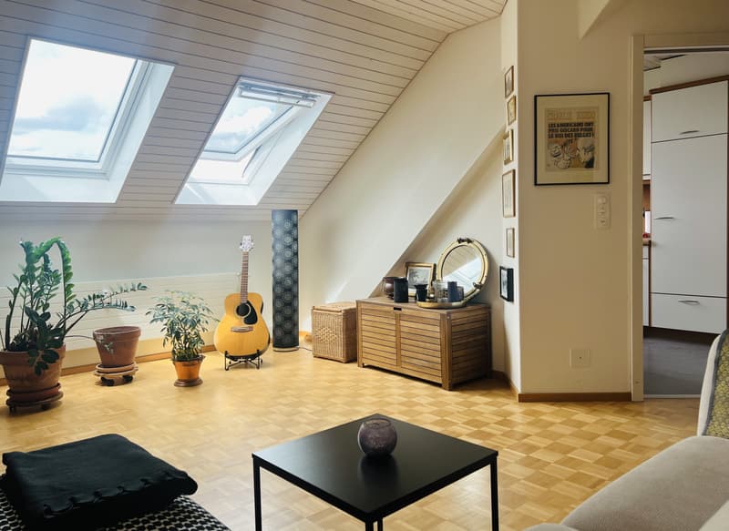 2 ZI-WOHNUNG IN BASEL, MÖBLIERT, TEMPORÄR (2)