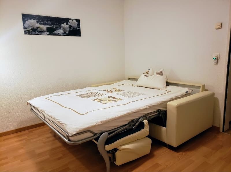 3½ ZI-WOHNUNG IN BAAR (ZG), MÖBLIERT, TEMPORÄR (6)