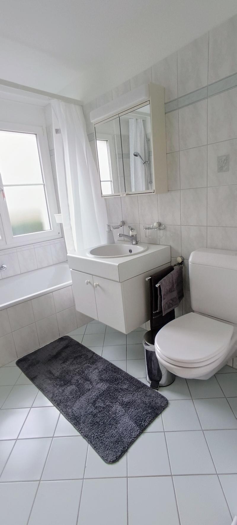 3½ ZI-WOHNUNG IN BAAR (ZG), MÖBLIERT, TEMPORÄR (9)