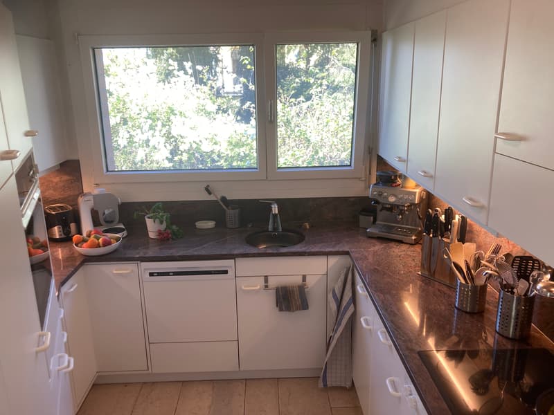 4½ ZI-WOHNUNG IN THUN (BE), MÖBLIERT, TEMPORÄR (4)