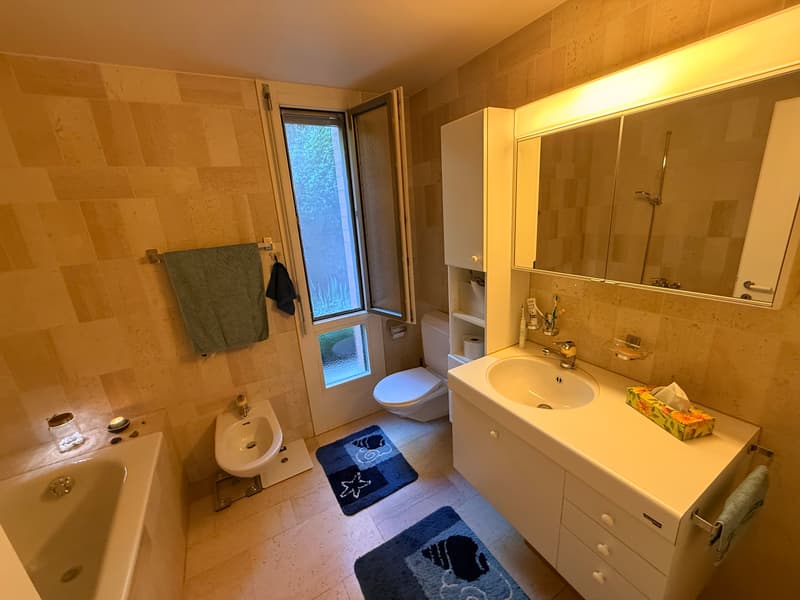 4½ ZI-WOHNUNG IN THUN (BE), MÖBLIERT, TEMPORÄR (8)