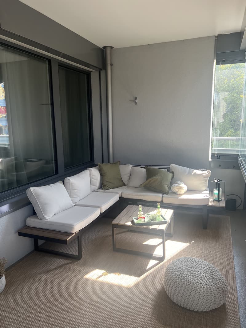 3½ ZI-WOHNUNG IN ALLSCHWIL (BL), MÖBLIERT, TEMPORÄR (6)