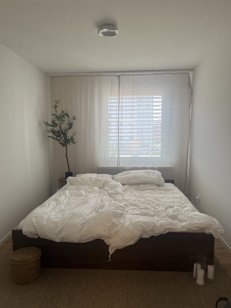 3½ ZI-WOHNUNG IN ALLSCHWIL (BL), MÖBLIERT, TEMPORÄR (4)