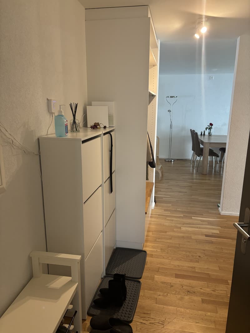4½ ZI-WOHNUNG IN BOLL (BE), MÖBLIERT, TEMPORÄR (10)
