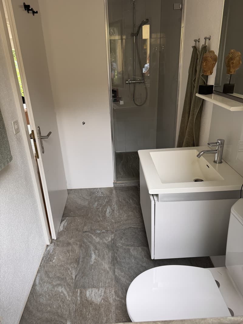 6½ ZIMMER-HAUS IN MEIKIRCH (BE), MÖBLIERT, TEMPORÄR (7)