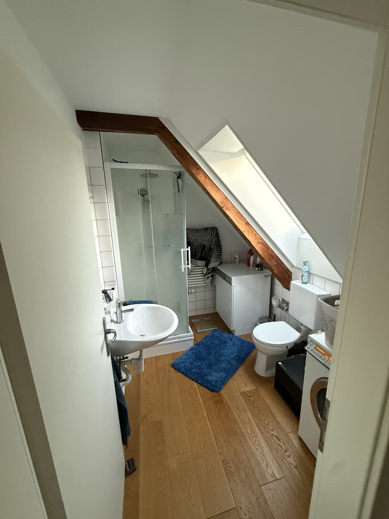 3½ ZI-WOHNUNG IN SOLOTHURN, MÖBLIERT, TEMPORÄR (7)