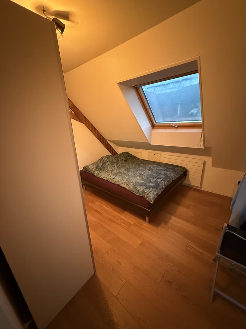 3½ ZI-WOHNUNG IN SOLOTHURN, MÖBLIERT, TEMPORÄR (4)
