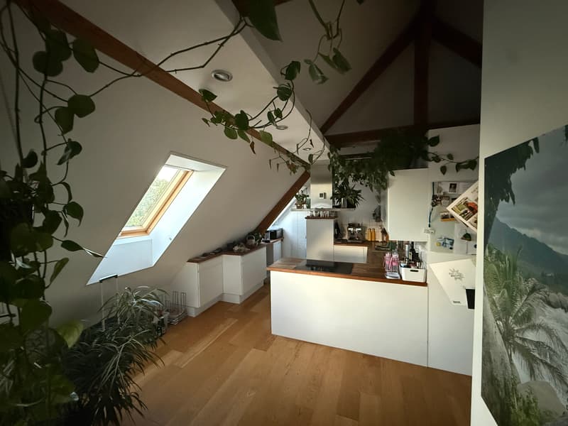 3½ ZI-WOHNUNG IN SOLOTHURN, MÖBLIERT, TEMPORÄR (3)