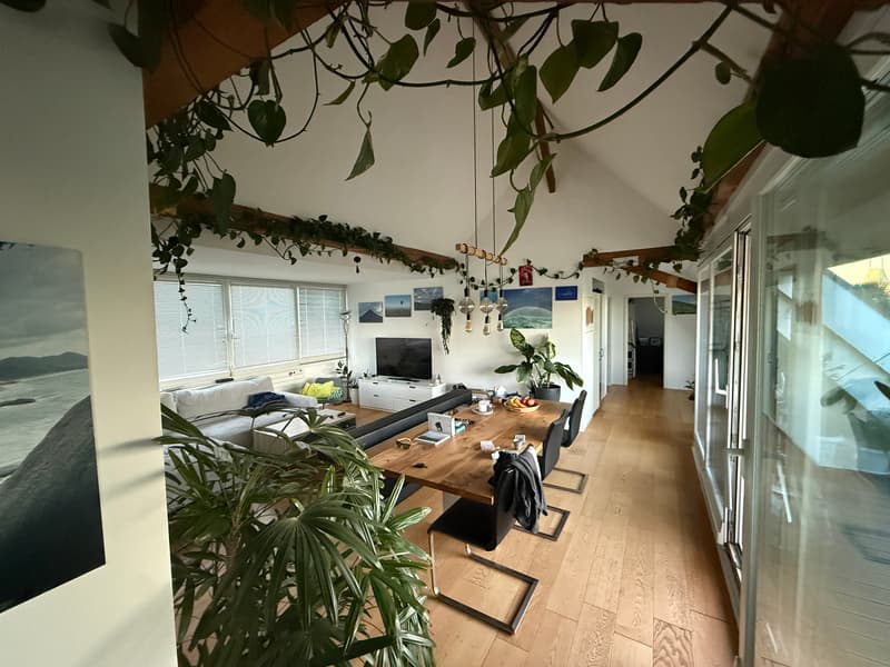 3½ ZI-WOHNUNG IN SOLOTHURN, MÖBLIERT, TEMPORÄR (2)