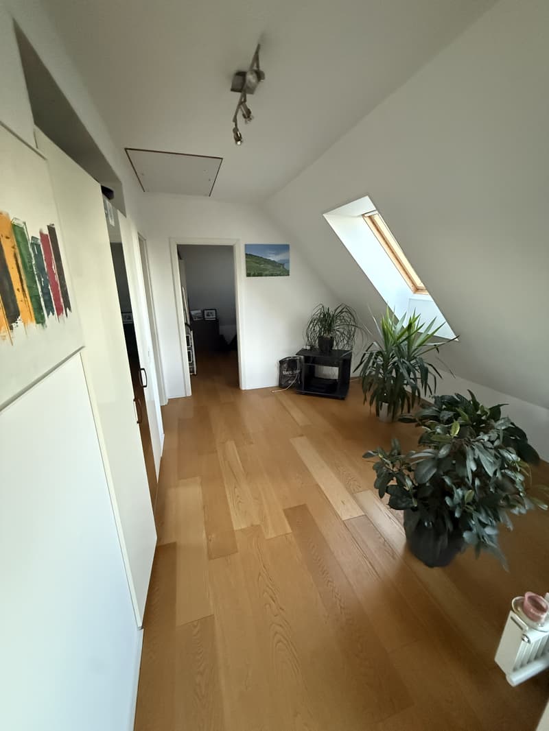 3½ ZI-WOHNUNG IN SOLOTHURN, MÖBLIERT, TEMPORÄR (6)