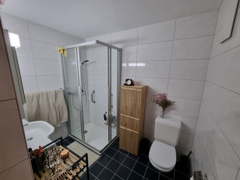 3½ ZI-WOHNUNG IN GOLDAU (SZ), MÖBLIERT, TEMPORÄR (7)