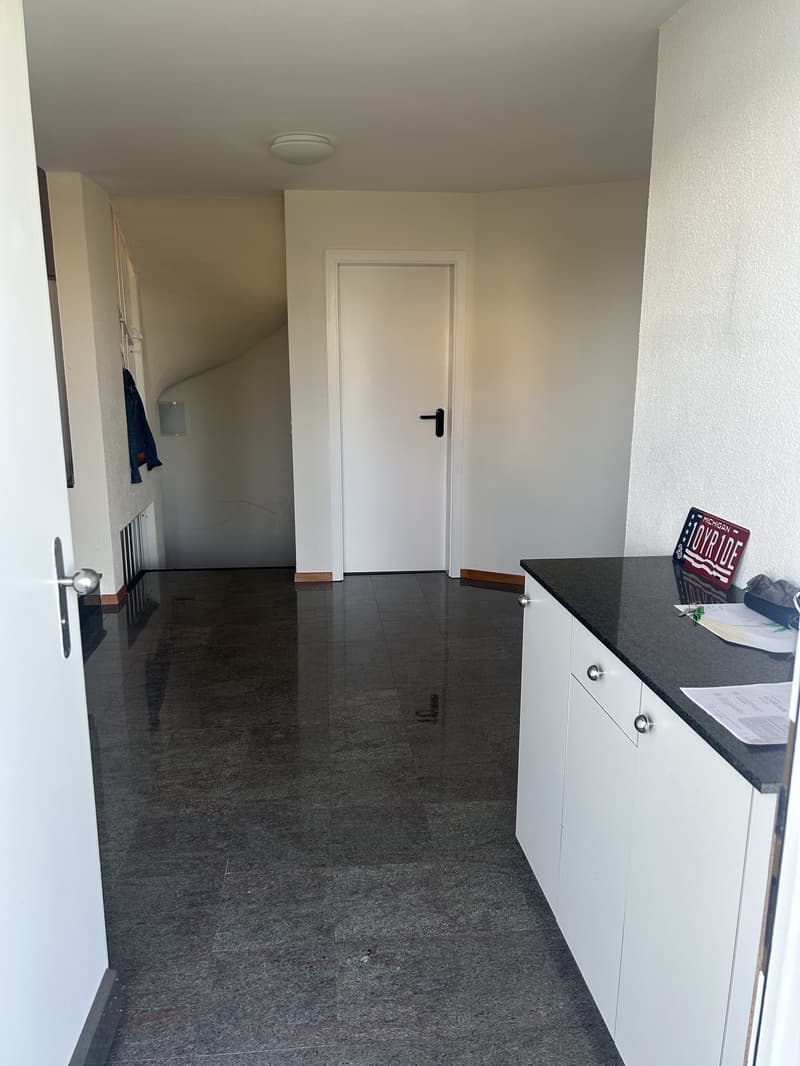 3½ ZI-WOHNUNG IN EINSIEDELN (SZ), MÖBLIERT, TEMPORÄR (3)