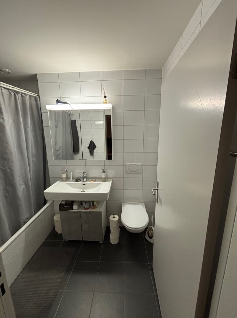 2½ ZI-WOHNUNG IN LIEBEFELD (BE), MÖBLIERT, TEMPORÄR (5)