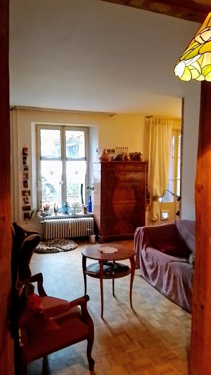 3½ ZI-WOHNUNG IN BERN - MATTENHOF, MÖBLIERT, TEMPORÄR (10)