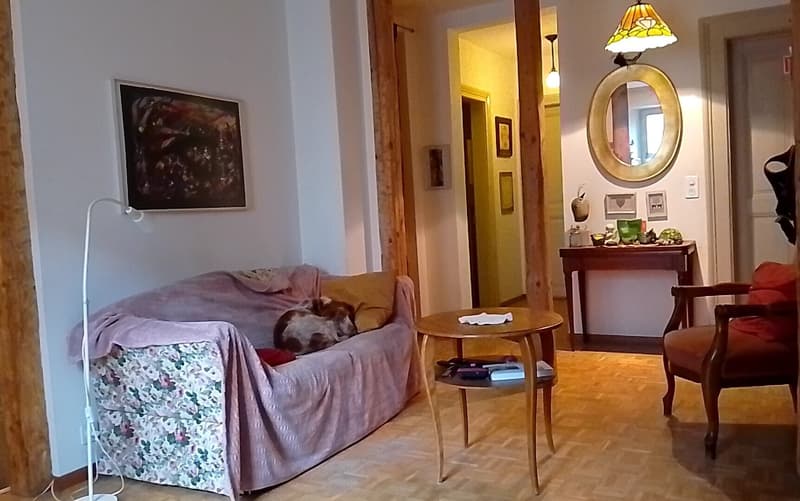 3½ ZI-WOHNUNG IN BERN - MATTENHOF, MÖBLIERT, TEMPORÄR (9)