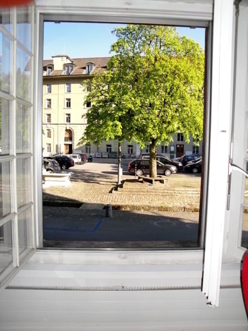 3½ ZI-WOHNUNG IN BERN - MATTE, MÖBLIERT, TEMPORÄR (9)