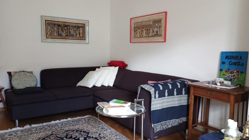 2 ZI-WOHNUNG IN BERN - OBSTBERG/SCHOSSHALDE, MÖBLIERT, TEMPORÄR (2)