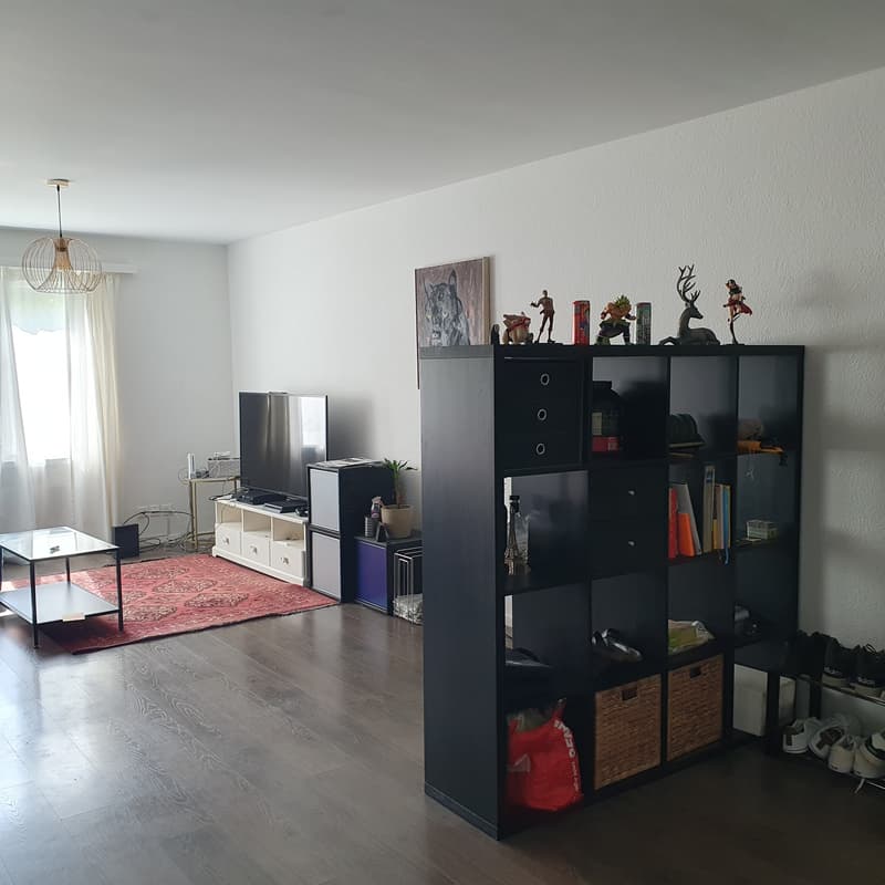 FÜR KATZENLIEBHABER IN WETZIKON (ZH), MÖBLIERT, TEMPORÄR (2)