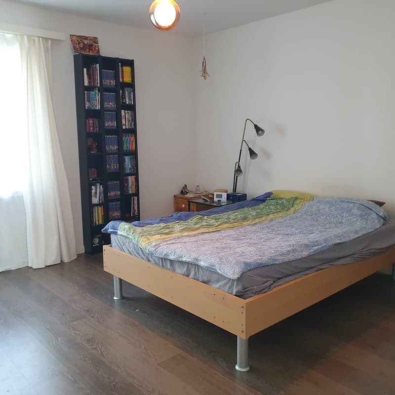 FÜR KATZENLIEBHABER IN WETZIKON (ZH), MÖBLIERT, TEMPORÄR (5)