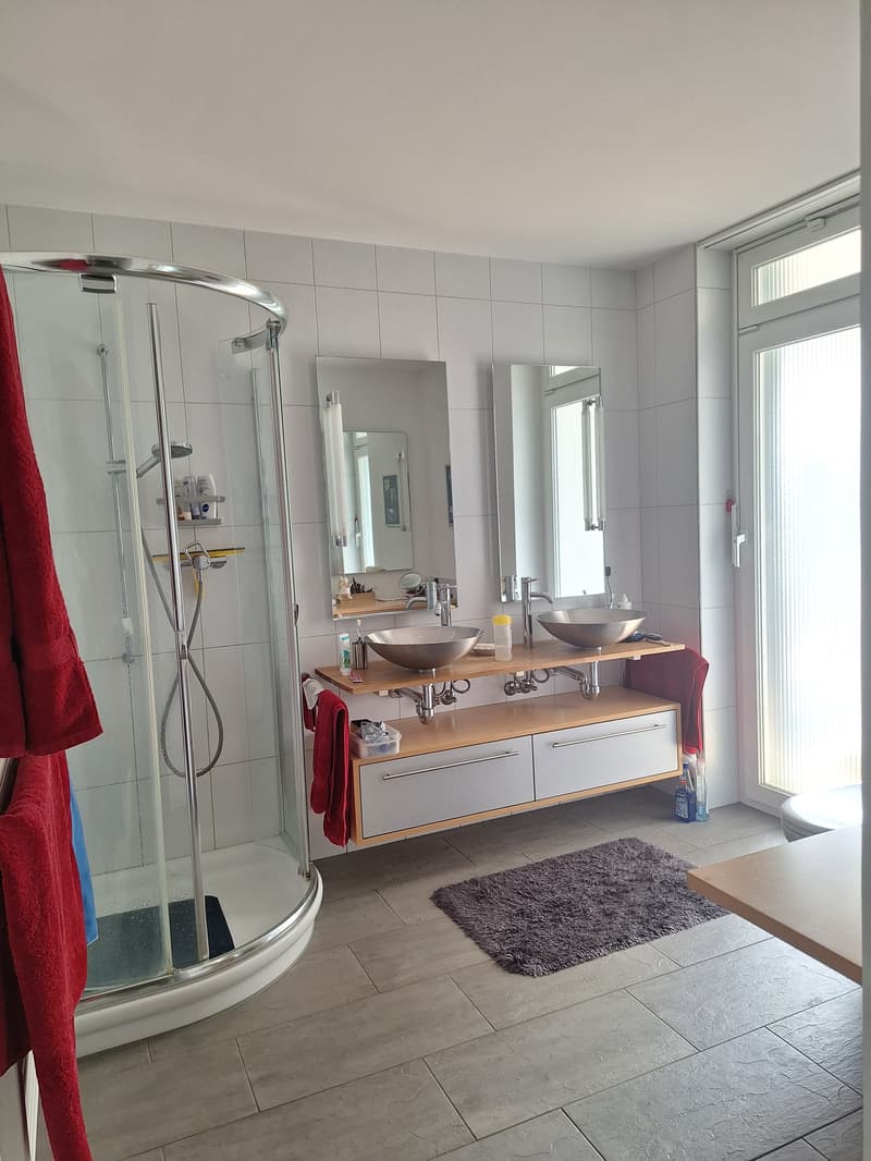 3½ ZI-WOHNUNG IN LENZBURG (AG), MÖBLIERT, TEMPORÄR (4)