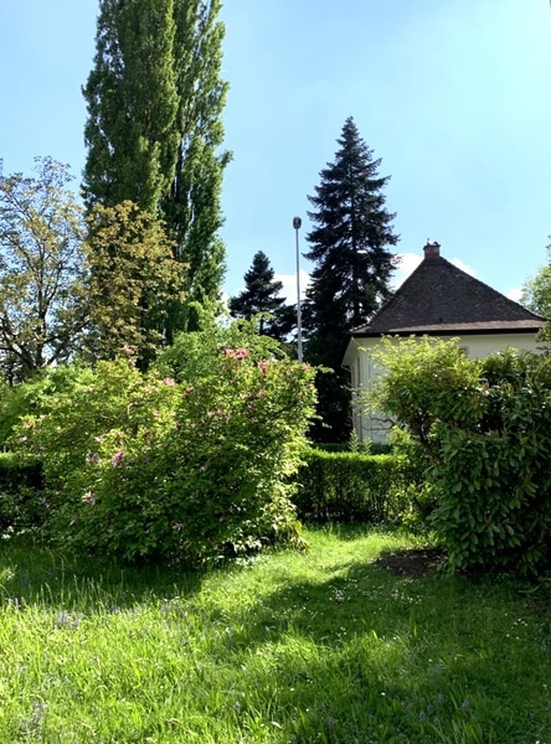 3 ZI-WOHNUNG IN WETTINGEN (AG), MÖBLIERT, TEMPORÄR (8)
