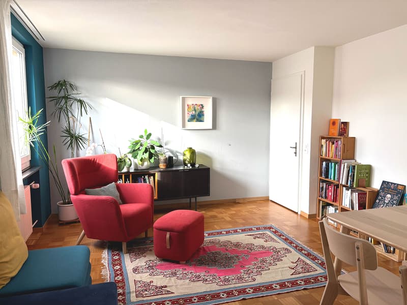 3 ZI-WOHNUNG IN WETTINGEN (AG), MÖBLIERT, TEMPORÄR (1)