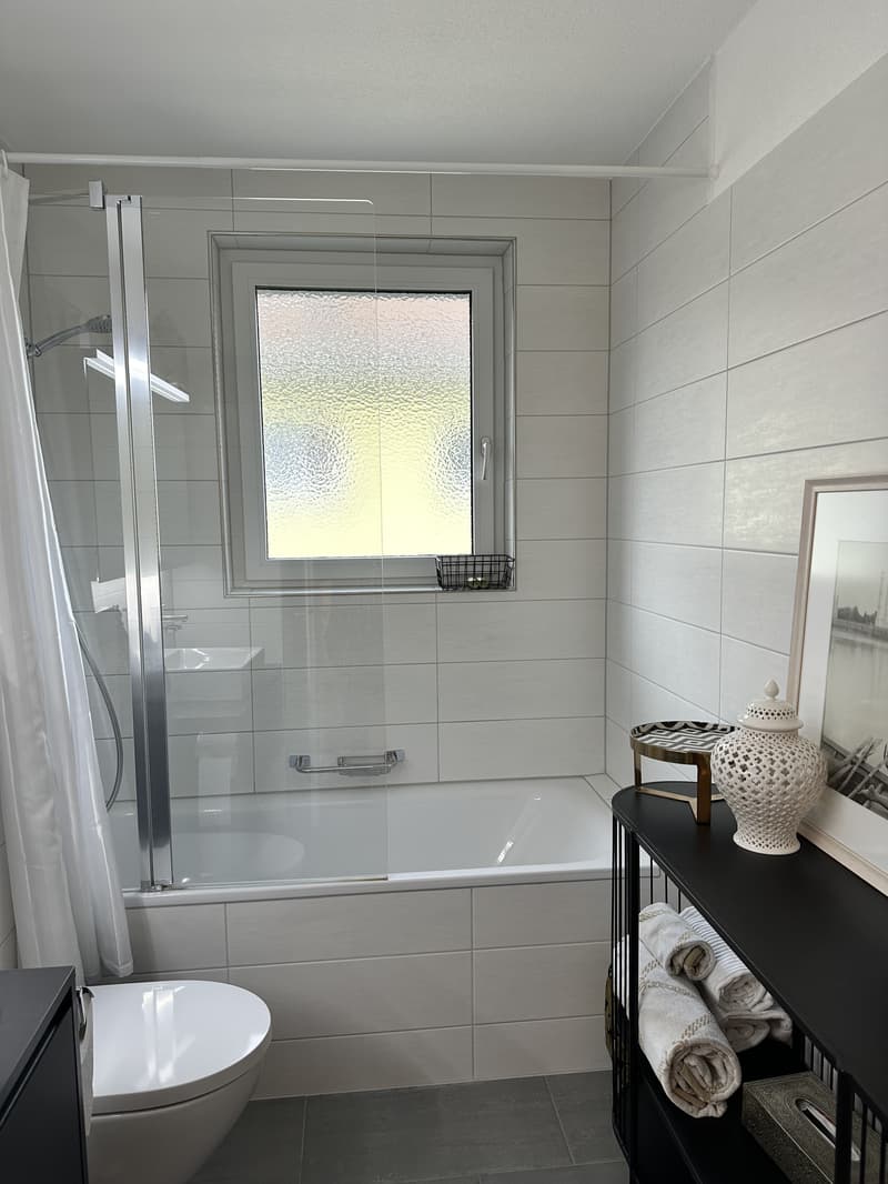 2½ ZI-WOHNUNG IN ZÜRICH, MÖBLIERT, TEMPORÄR (6)