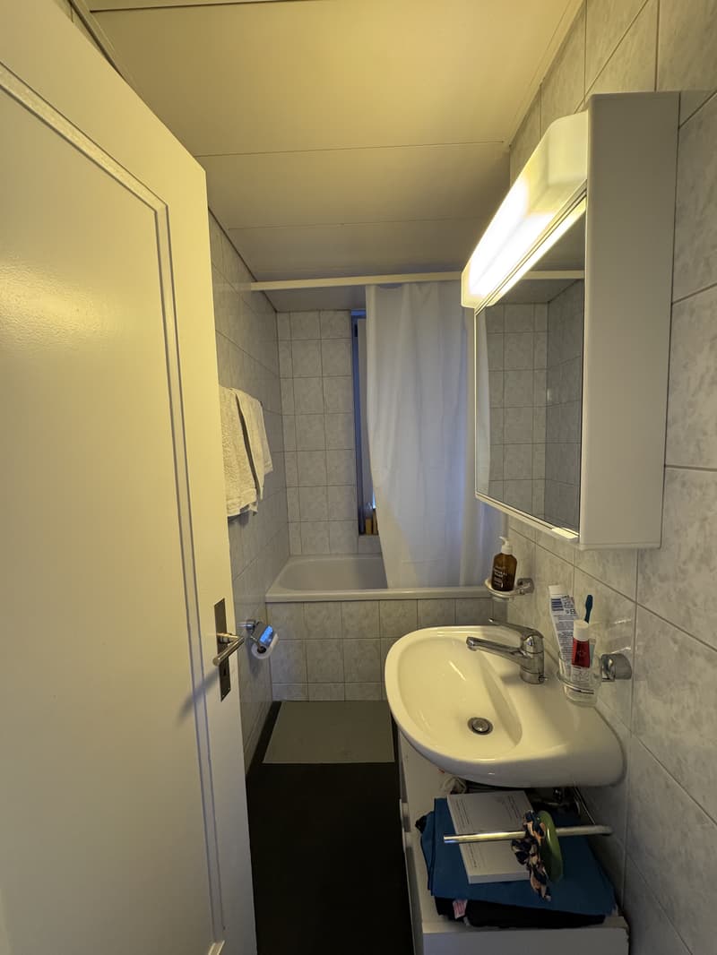 2½ ZI-WOHNUNG IN BERN - WYLER, MÖBLIERT, TEMPORÄR (5)