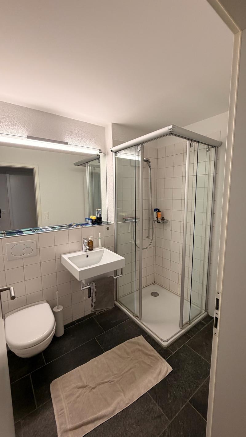 4½ ZI-WOHNUNG IN WABERN (BE), MÖBLIERT, TEMPORÄR (7)