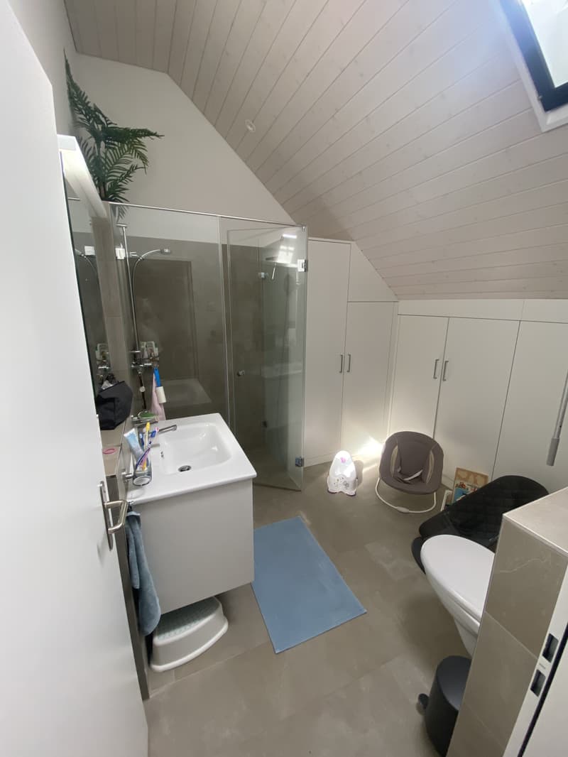 5½ ZIMMER-HAUS IN DORF (ZH), MÖBLIERT, TEMPORÄR (8)