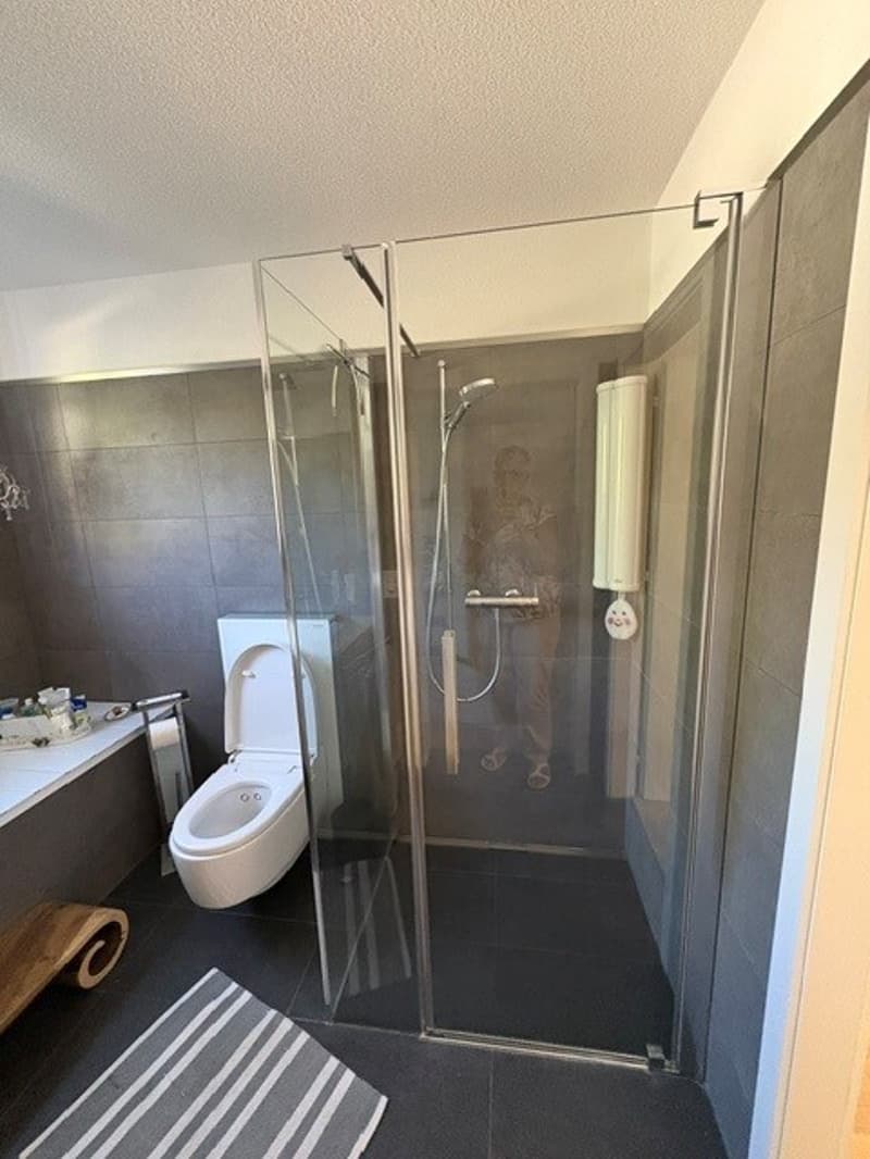 2½ ZI-WOHNUNG IN WANGEN AN DER AARE (BE), MÖBLIERT, TEMPORÄR (8)