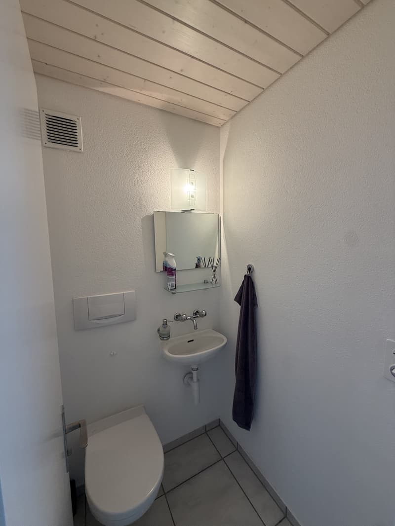 3½ ZI-WOHNUNG IN IPSACH (BE), MÖBLIERT, TEMPORÄR (8)