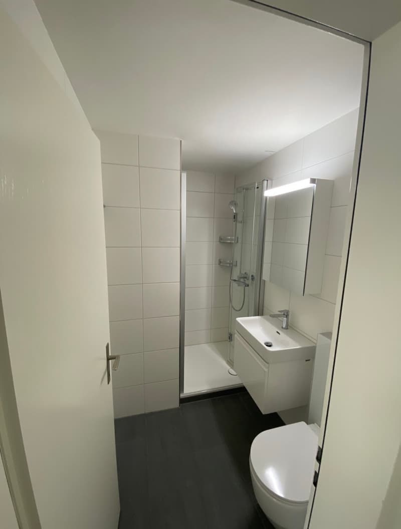4½ ZI-WOHNUNG IN AESCH (BL), MÖBLIERT, TEMPORÄR (8)