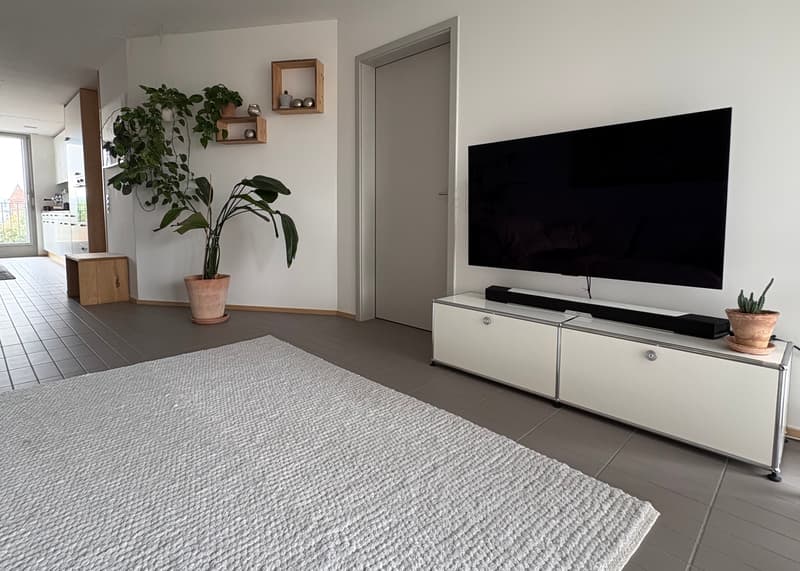 2½ ZI-WOHNUNG IN ZÜRICH - KREIS 9 ALTSTETTEN, MÖBLIERT, TEMPORÄR (1)