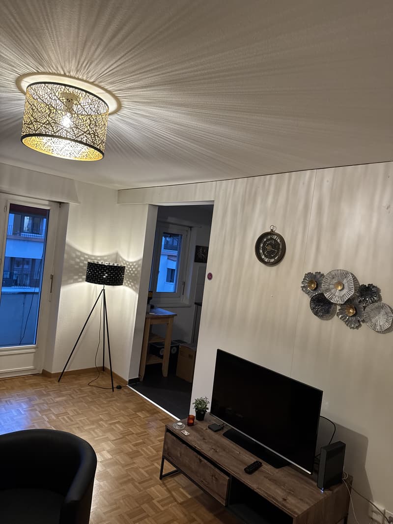 2½ ZIMMER-MAISONETTEWOHNUNG IN ZÜRICH - KREIS 8 SEEFELD/MÜHLEBACH, MÖB (5)