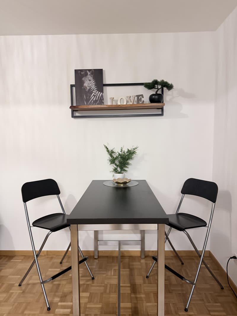 2½ ZIMMER-MAISONETTEWOHNUNG IN ZÜRICH - KREIS 8 SEEFELD/MÜHLEBACH, MÖB (4)