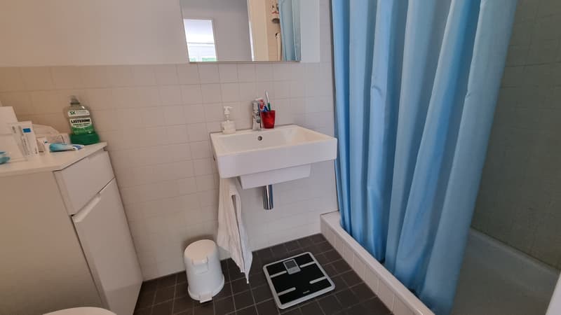 3½ ZI-WOHNUNG IN LUZERN, MÖBLIERT, TEMPORÄR (7)
