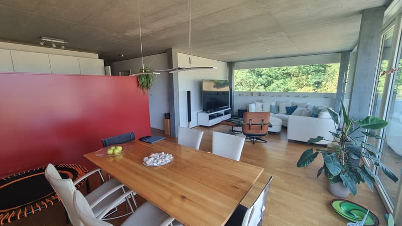 3½ ZI-WOHNUNG IN LUZERN, MÖBLIERT, TEMPORÄR (2)