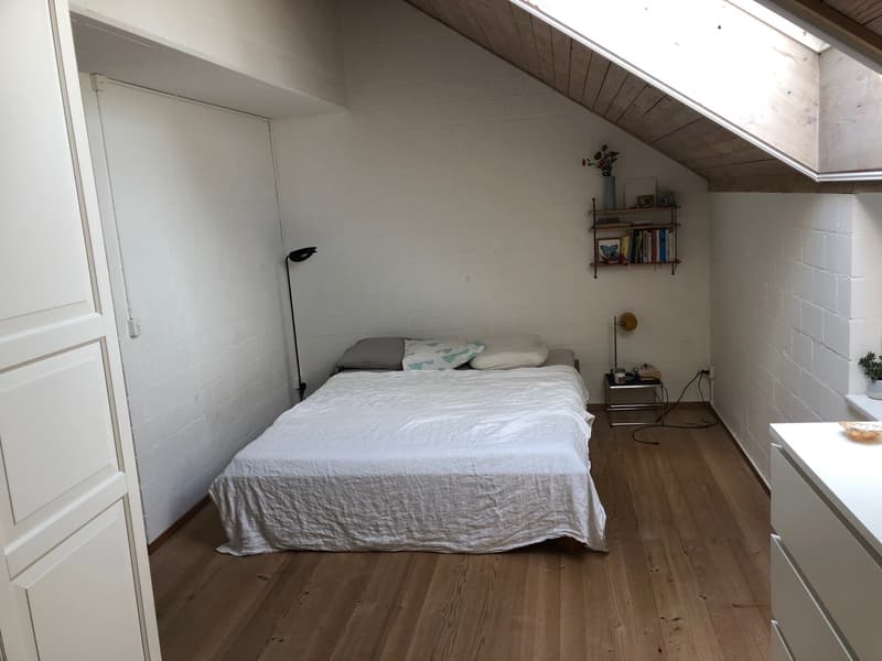 4½ ZIMMER-MAISONETTEWOHNUNG IN EMMEN (LU), MÖBLIERT, TEMPORÄR (5)