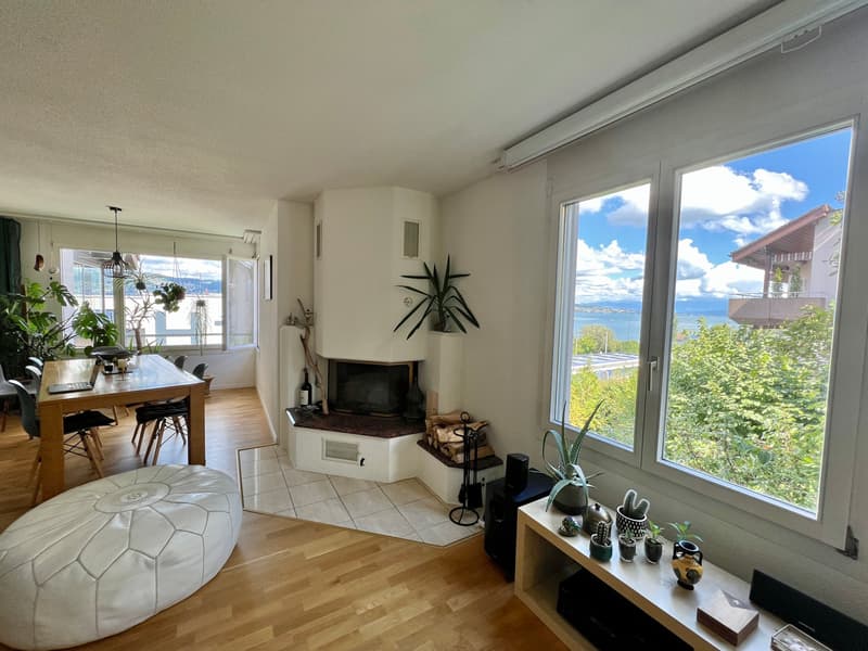 4½ ZI-WOHNUNG IN WÄDENSWIL (ZH), MÖBLIERT, TEMPORÄR (1)